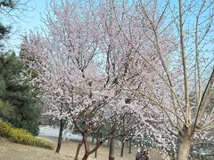 -元大都城垣遗址公园