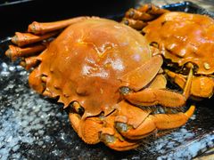 -赤甲皇(仙霞路店)