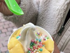 -Salud撒露欧洲冻酸奶(蓝色港湾店)