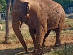 -石家庄市动物园