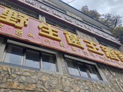 -波密野生菌王酒家