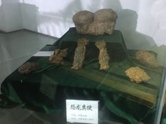 -自然谷恐龙园