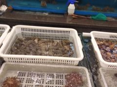 水产区-橄榄季酒店