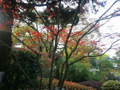 -浙江西子宾馆·瑶园咖啡厅