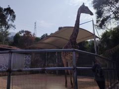 -泉州海丝野生动物世界