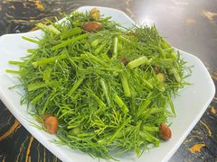 干拌茴香-食客居(缔景店)
