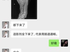 -联合动物医院(光谷诊疗中心)