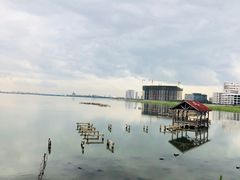 -碧海金沙