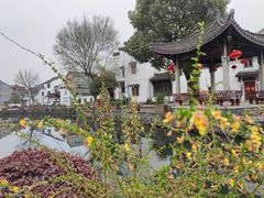 -东梓关景区村庄