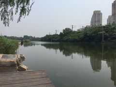 -前关湿地公园