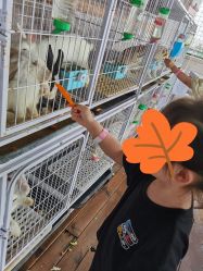 -小蜜蜂农场(凯德七宝购物广场店)