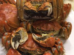 -王宝和酒家(黄浦店)