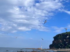 -棒棰岛宾馆景区