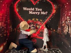 -济州岛泰迪熊博物馆