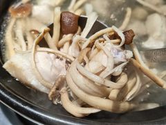 -探窝·竹笙椰子鸡(杨箕店)