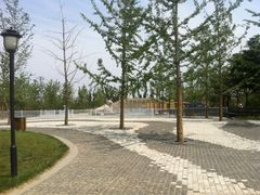 iphone_upload_pic-永定河休闲森林公园