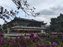 -荔湾湖公园