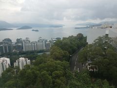 -大埔公路-马料水段香港中文大学(公交站)