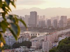 -福道