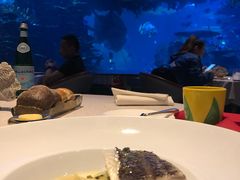 -迪拜帆船酒店海底餐厅