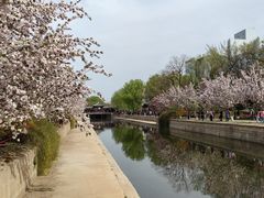 -海棠花溪(元大都城垣遗址公园)