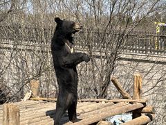 -济南野生动物世界