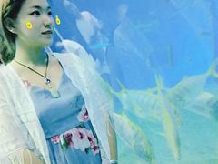 -北戴河圣蓝海洋公园