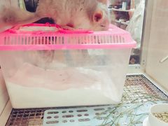 -鹏欣水游城