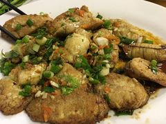 -金砂阿洲鱼册店