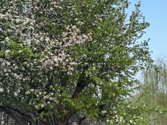 -元大都城垣遗址公园