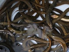 -石山特色饭酒楼