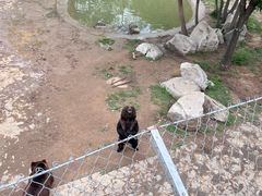 -石家庄市动物园