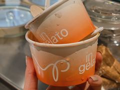 -Dip in Gelato(富民路店)