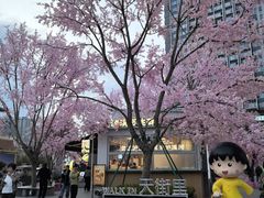 -首开·龙湖成都西宸天街