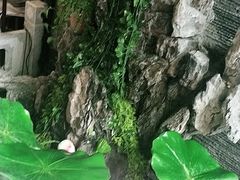 -知足堂养生会所(碑亭巷店)