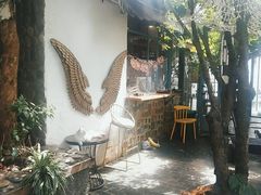 -喵屿·大理花园猫咖