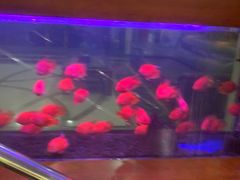 -尤雅养生·影院足道·SPA(金沙江路店)