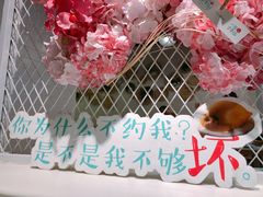 景观位-一笼小幸运