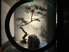 -山塘渡·苏式园林餐厅