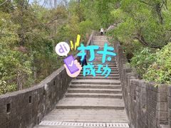 -板樟山森林公园
