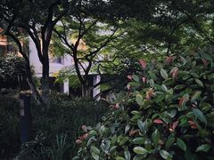 -闻莺馆(柳浪闻莺店)