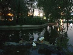 -莲花池公园