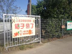 -上海长兴岛郊野公园