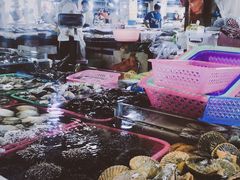 -三亚新鸿港水果一级批发市场