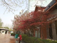 -郑州方特梦幻王国