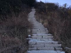 -北京西山国家森林公园