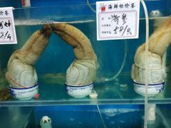 -1910老鲁味海鲜·戳子肉·青岛菜(金沙滩店)