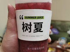 -树夏(锦里店)