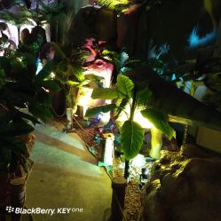 -恐龙探索乐园(磁器口店)