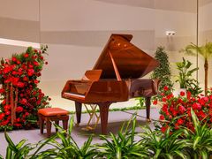 -Melody Mentor音乐私教馆(朝外·悠唐店)